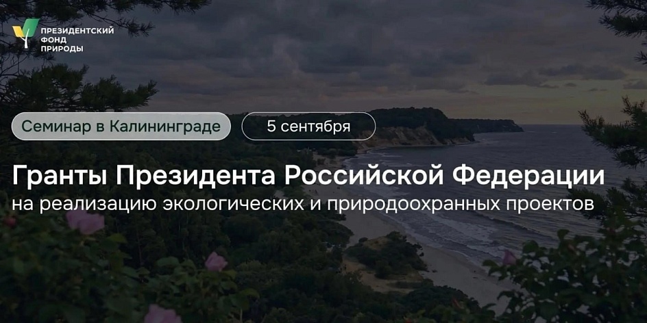 Семинар «Гранты Президента».